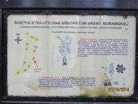 IMG_2774.jpg, 28kB
